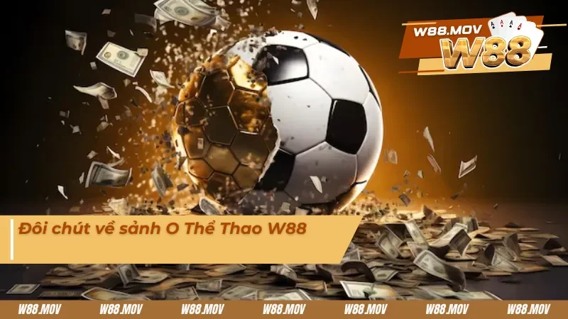 Giới thiệu đôi chút về sảnh O Thể Thao có thể anh em chưa biết