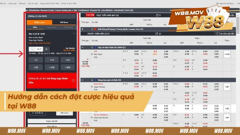 Hướng dẫn cho tân thủ cách đặt cược tại S thể thao